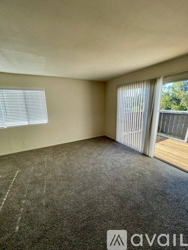 A room with a carpeted floor and a window with blinds.