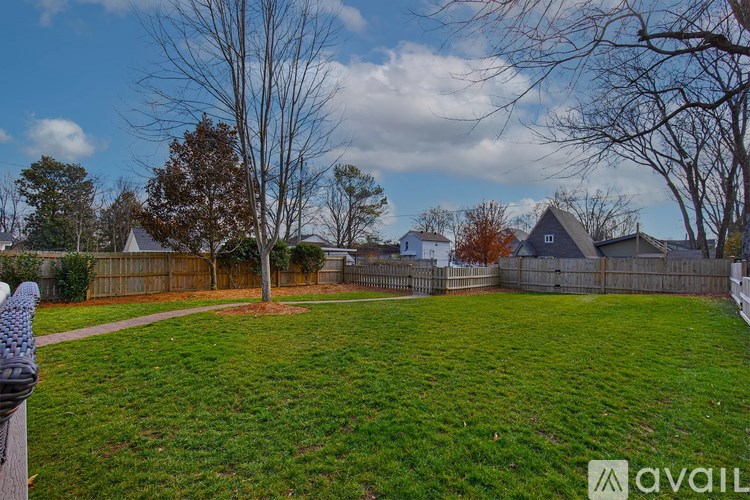 A backyard with a fence and a tree.