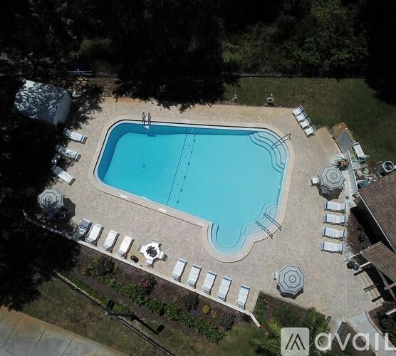 An aerial view of a swimming pool surrounded by lounge chairs and trees.