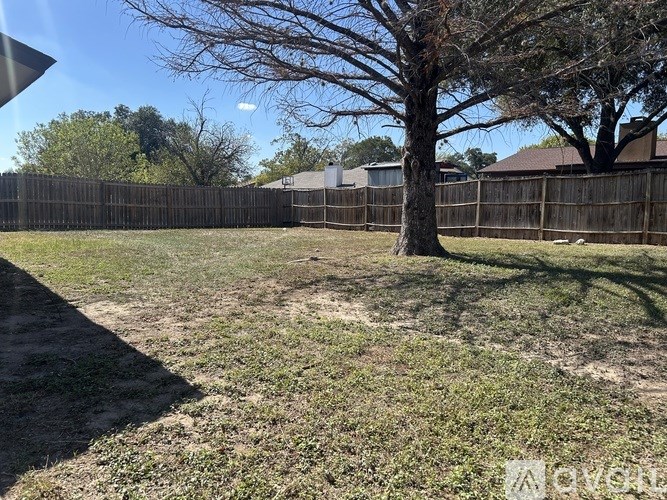 A tree stands in a yard with a fence in the background.