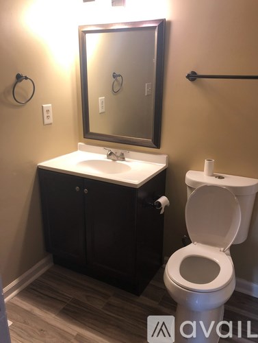 A bathroom with a toilet, sink, and mirror.