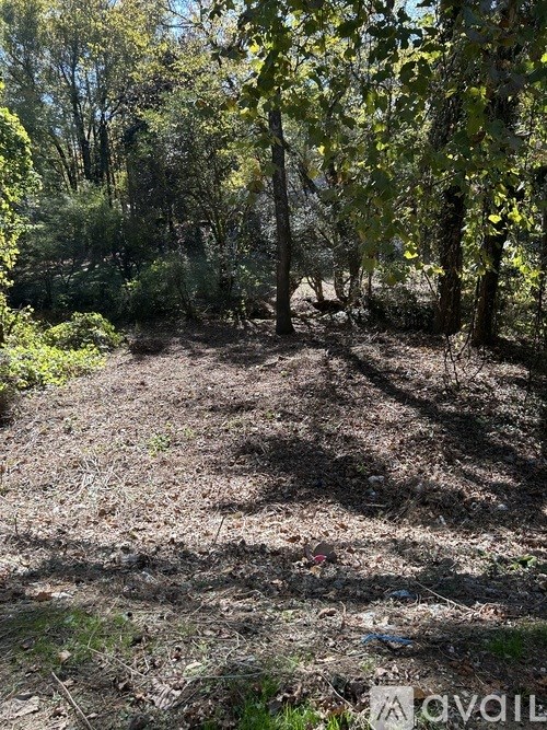 A wooded area with trees and a dirt path.