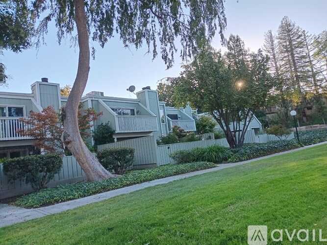 A row of houses with a tree in front of them.