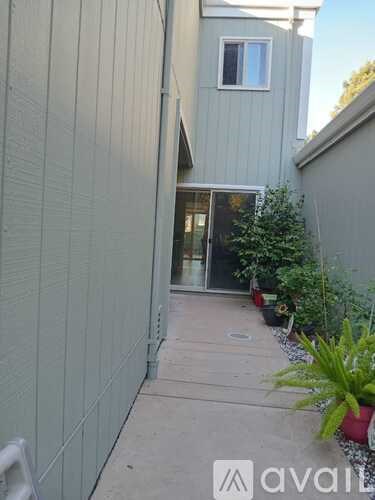 A grey building with a doorway and a plant in front.