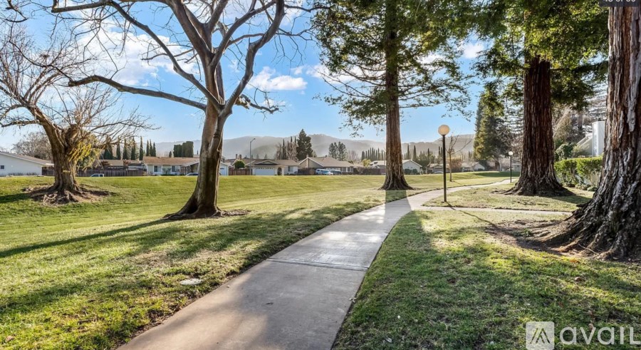 A park with a walking path, grass, and trees.