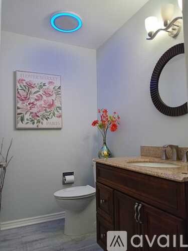 A bathroom with a toilet, a sink, a mirror, and a framed picture on the wall.