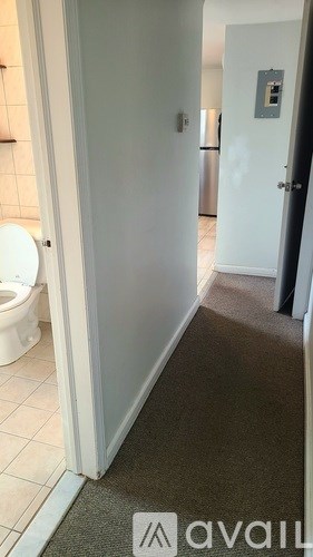 A hallway with a toilet visible through the door.