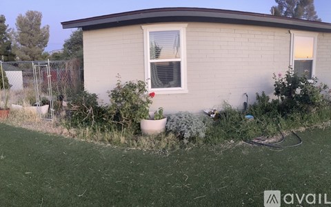 A house with a brown roof and a white window surrounded by green grass and plants.