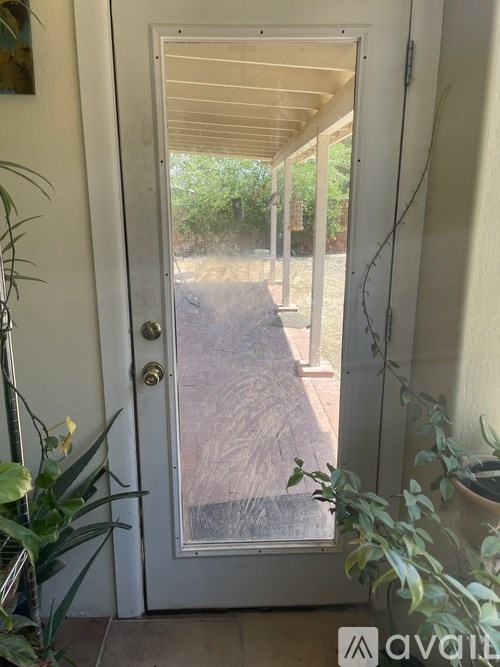 A white door with a glass window is open and leads to a backyard.