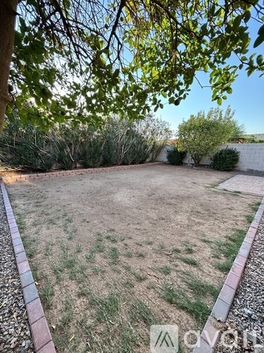 A backyard with a grassy area, a tree, and a wall.