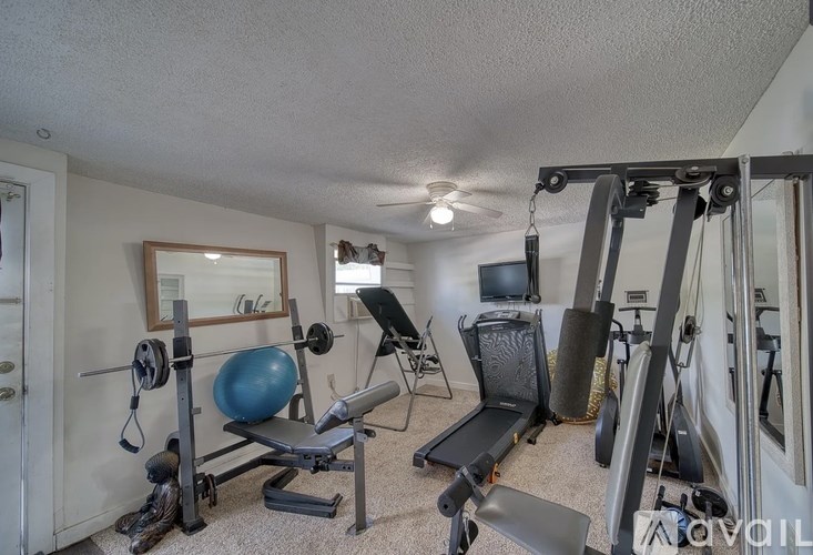 A home gym with a variety of equipment including a weight bench, a rowing machine, and a television.