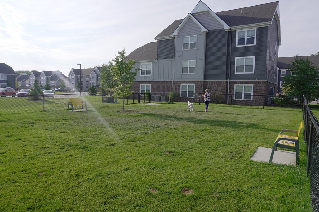 A person is walking their dog in a grassy field in front of apartment buildings.