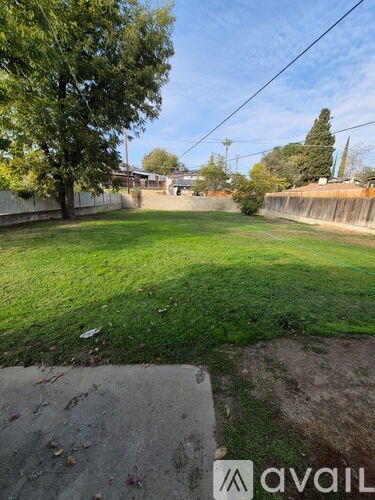 A backyard with a green lawn and a tree.
