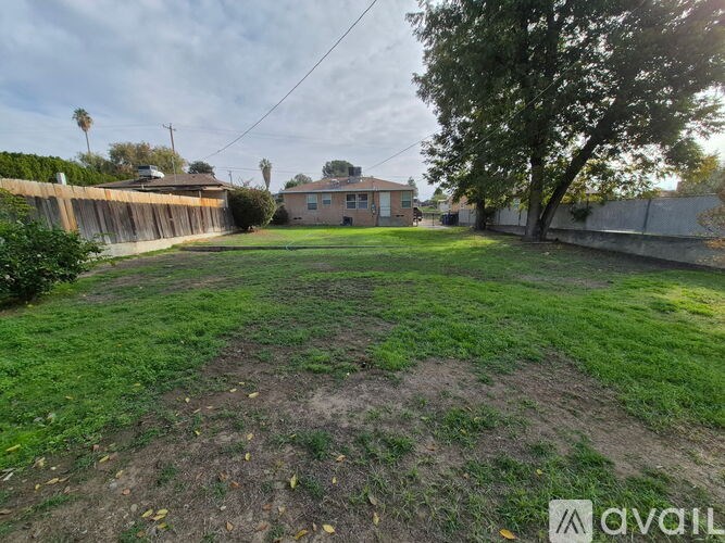 A backyard with a dirt area and a tree.