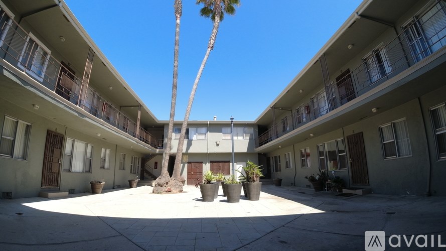 A courtyard with a palm tree and potted plants.