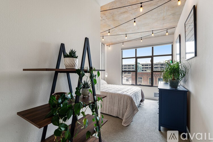 A room with a bed, a plant, and a ladder.