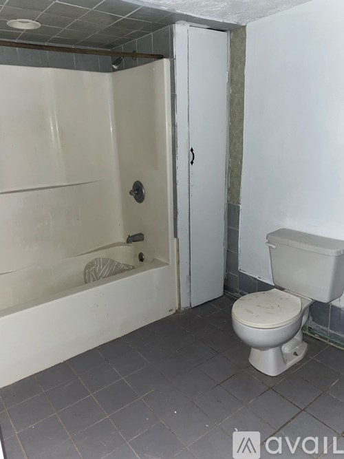 A bathroom with a toilet, a shower, and a door.