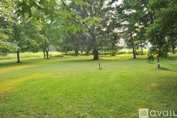 A grassy field with trees in the background.