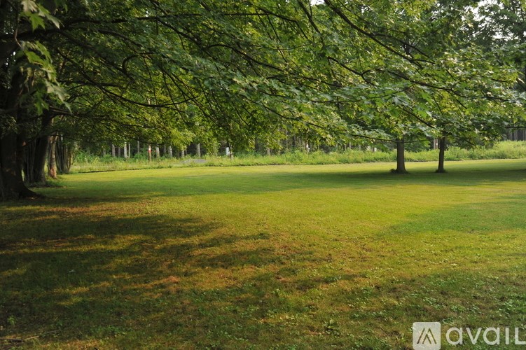 A grassy field with trees on the sides.