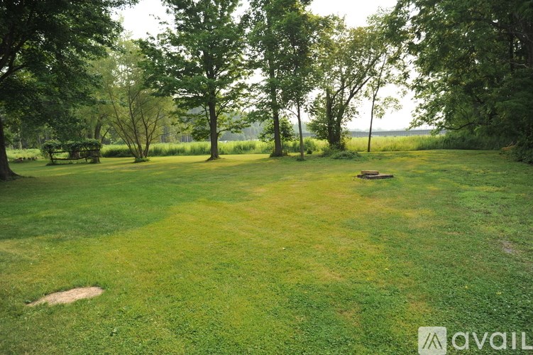 A grassy field with trees and a bench.