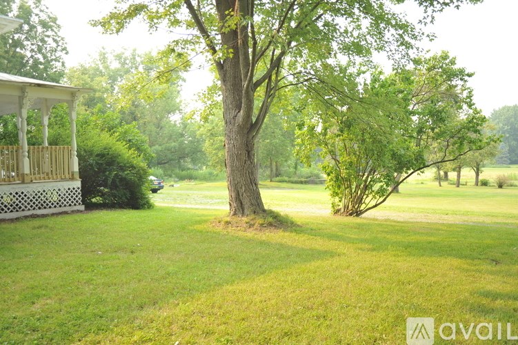 A tree stands in a grassy field next to a wooden fence.