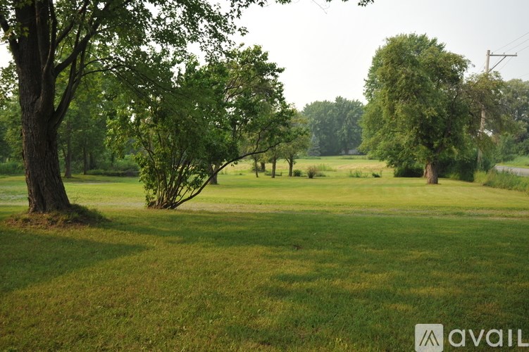 A grassy field with trees and a power line in the distance.