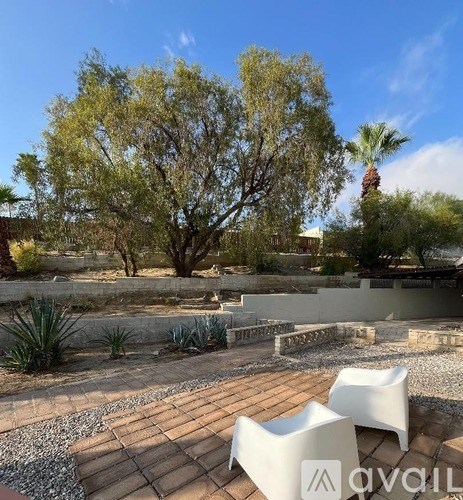 Two white chairs are on a patio with a tree in the background.