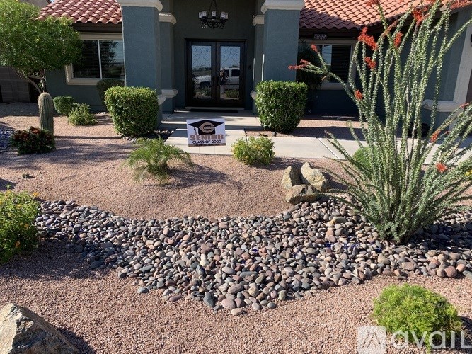 A garden with a stone pathway leading to a house entrance.