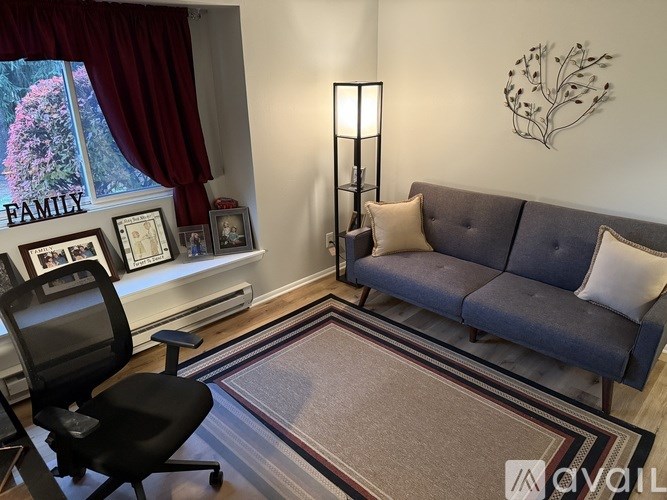 A living room with a grey couch, a black chair, and a rug.