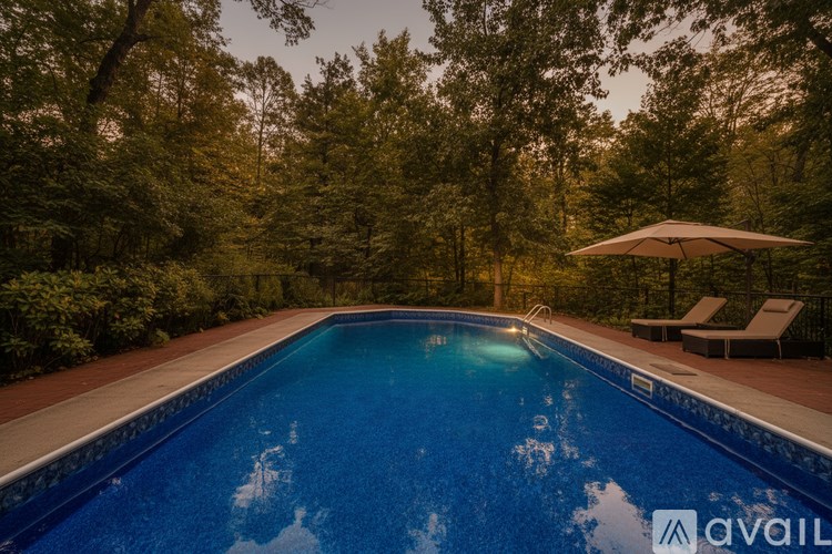 A swimming pool surrounded by trees and lounge chairs.
