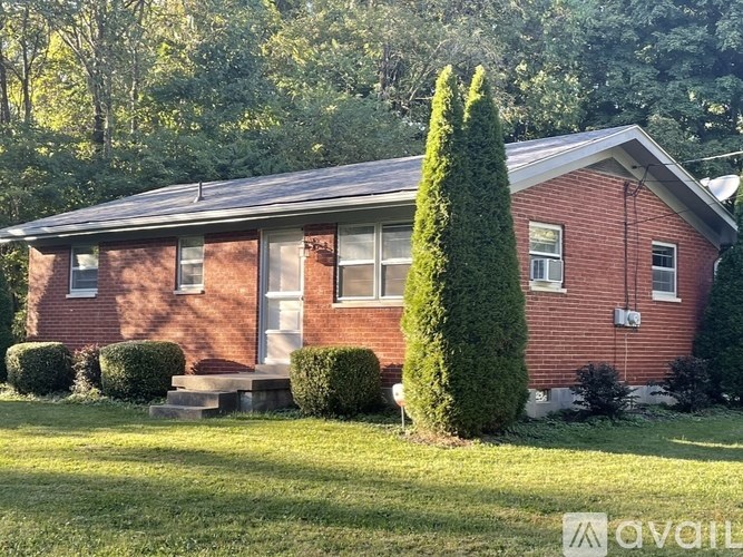 A red brick house with a tall green tree in front.