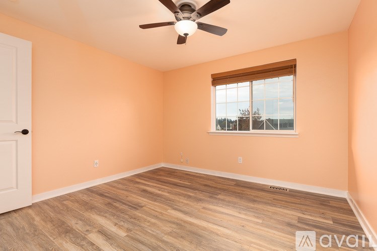 A room with a ceiling fan and a window.