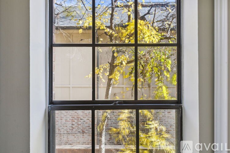 A window with a view of a tree with yellow leaves.