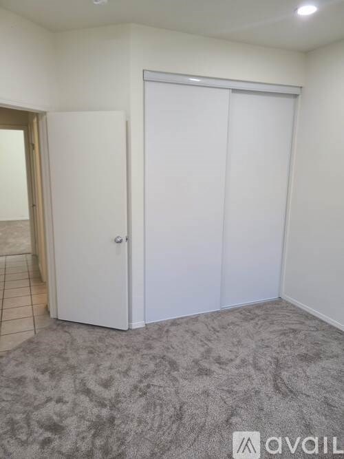 A room with a carpeted floor and a white closet.