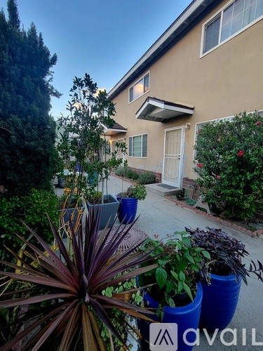 A house with a white door and a window is surrounded by plants.