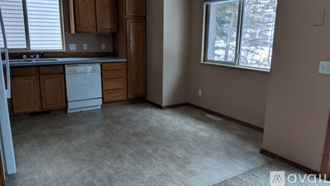 A kitchen with a dishwasher and a window.
