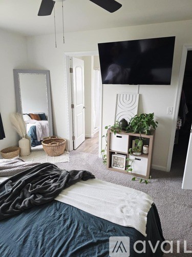 A bedroom with a bed, a mirror, a TV, and a plant.