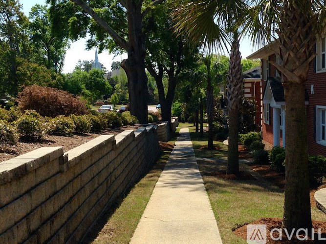 A sidewalk runs down the middle of a tree-lined street.