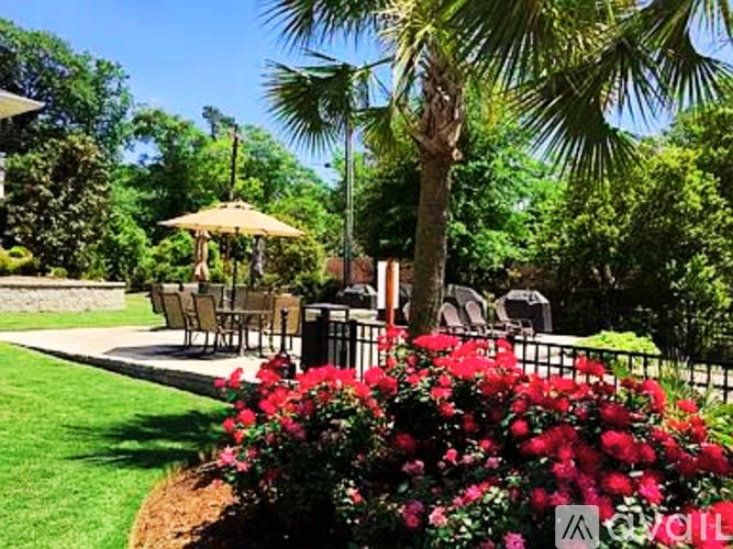 A garden with a table and chairs and a palm tree.