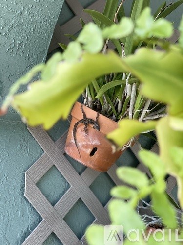 A terracotta pot with green plants in it.