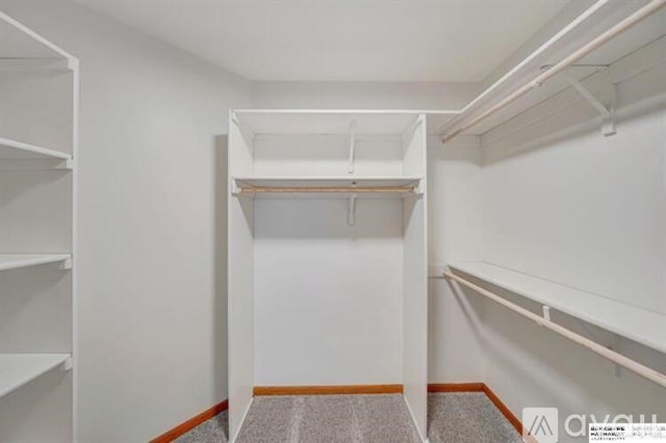 A white closet with shelves and a carpeted floor.