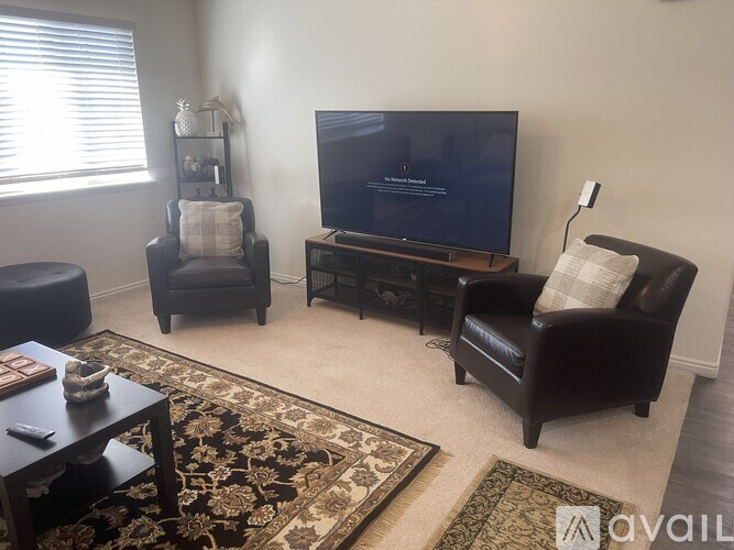 A living room with a flat screen TV, two chairs, a coffee table, and a rug.