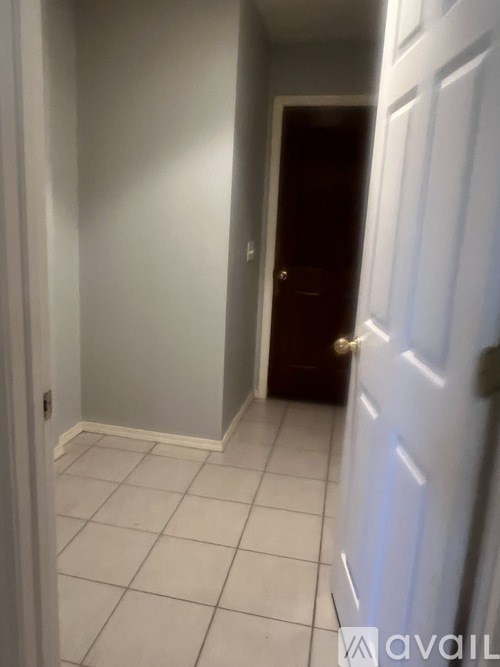 A hallway with a white door and a brown door at the end.