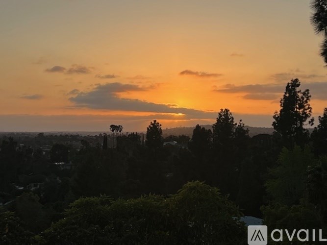 A sunset view with trees and buildings in the foreground.