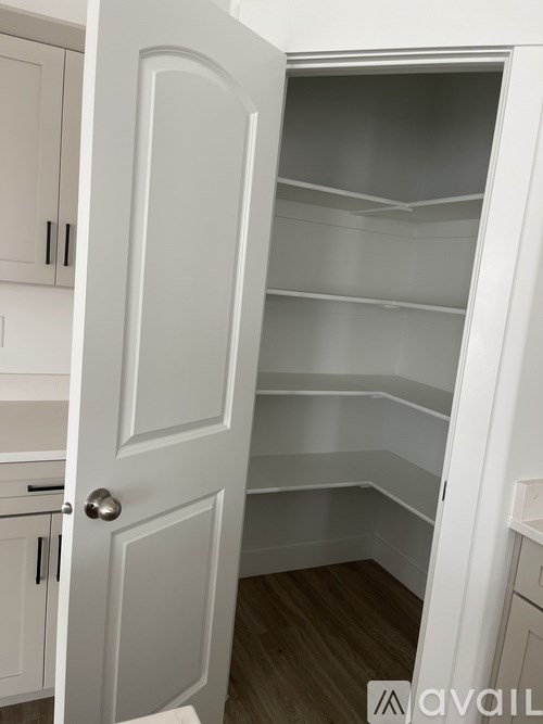 A white door is open to a pantry with shelves.
