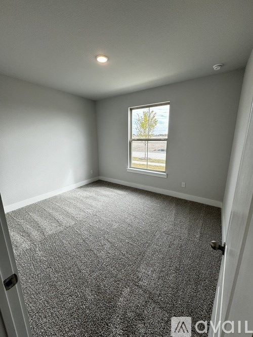 A room with a carpeted floor and a window showing a tree outside.