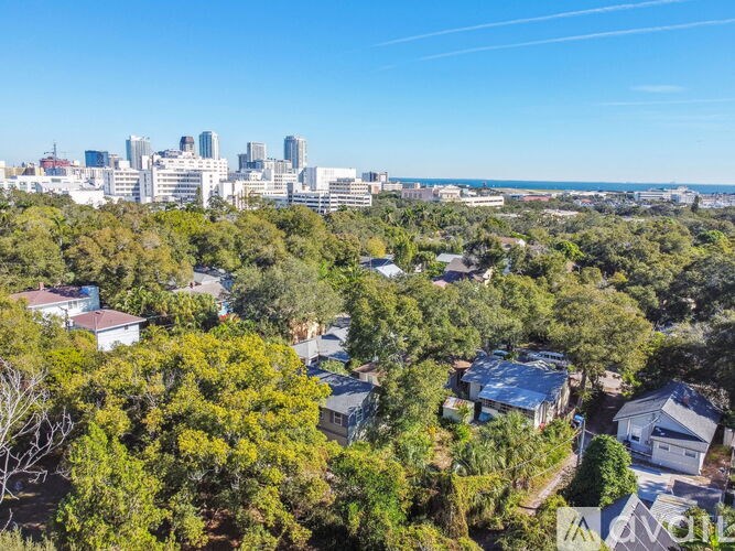 A bird's eye view of a residential area with houses surrounded by trees and a city skyline in the distance.