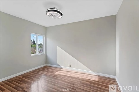 A room with wooden flooring and a window showing a view of a tree.