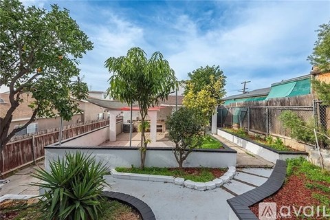 A backyard with a tree, a cactus, and a small garden.
