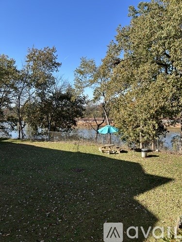 A grassy area with trees and a blue umbrella.